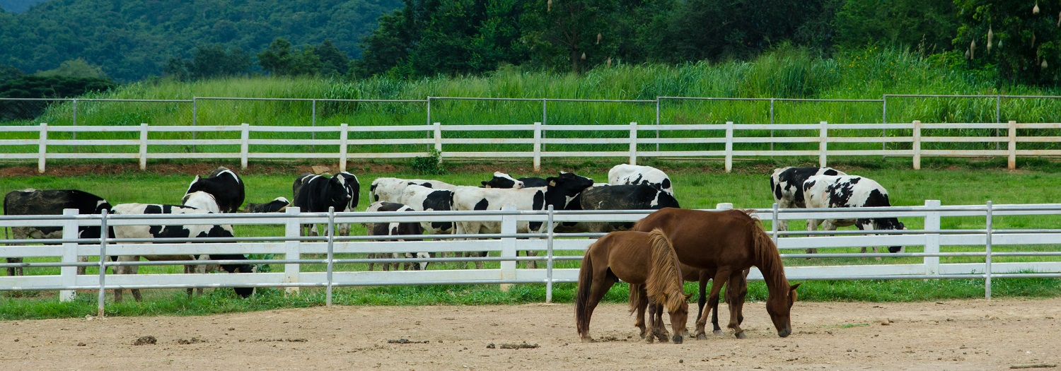 farm call vets near me